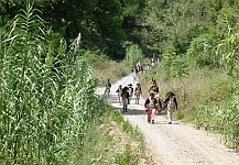 Auf dem Marsch.