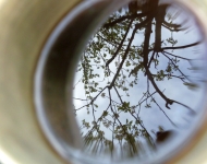 Le monde vu par un café.