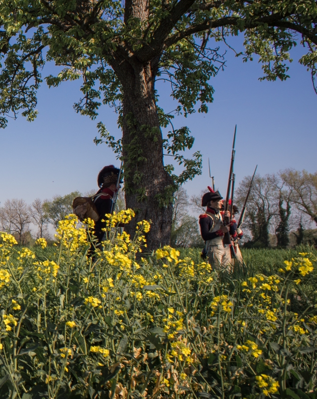 22e Régiment d'Infanterie de Ligne