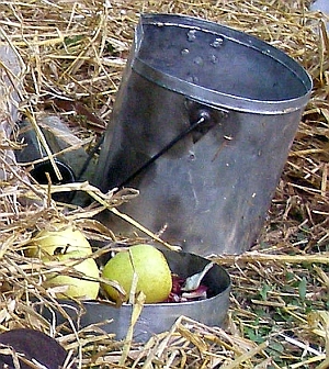 En attendant de la soupe ...